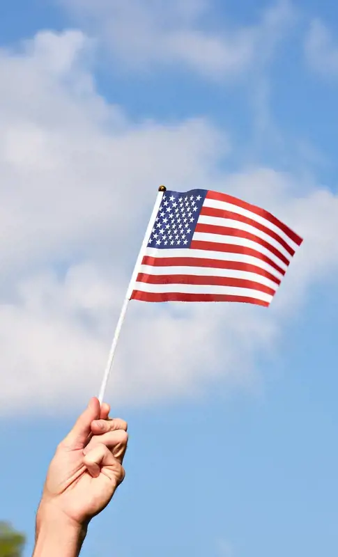 A raised hand holding a small American flag