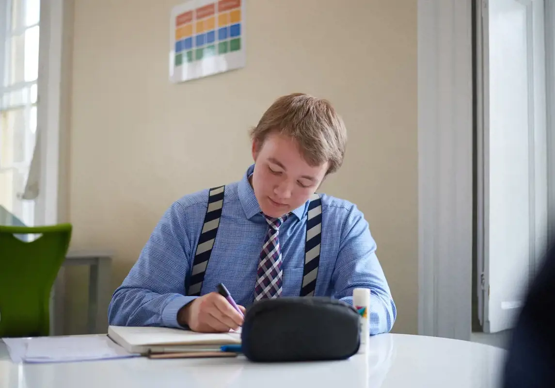 Sixth former studying in class